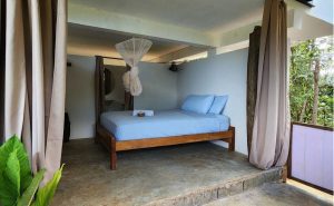 Pixvae-panama-real-estate-roots