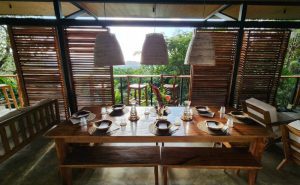 Pixvae-panama-real-estate-roots