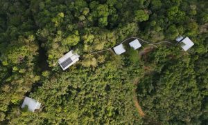 Pixvae-panama-real-estate-roots