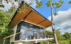 Pixvae-panama-real-estate-roots