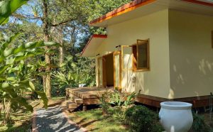 Botanical Garden Home With Pool
