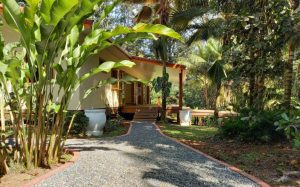 Botanical Garden Home With Pool