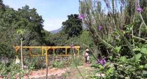 panama-los-naranjos-real-estate-houses-for-sale
