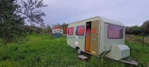 10a496456ef2471a8eff8ae49c12f6c8