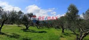 4a103d478ee84dbc83b73b98688cdf32