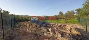 c37802f4192f4899900f3a062f33402b