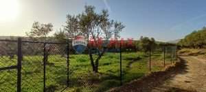 dd65b2a298e0457d8c28334ef7c79954