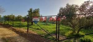 eea49db4c5c44585b899f99a58132bc2