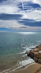 IMG 20251030 WA0035 1