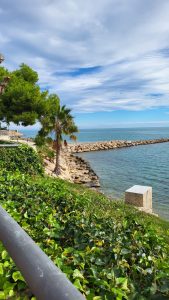 IMG 20251030 WA0037 1