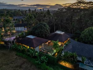 Twin House Drone 4 LR