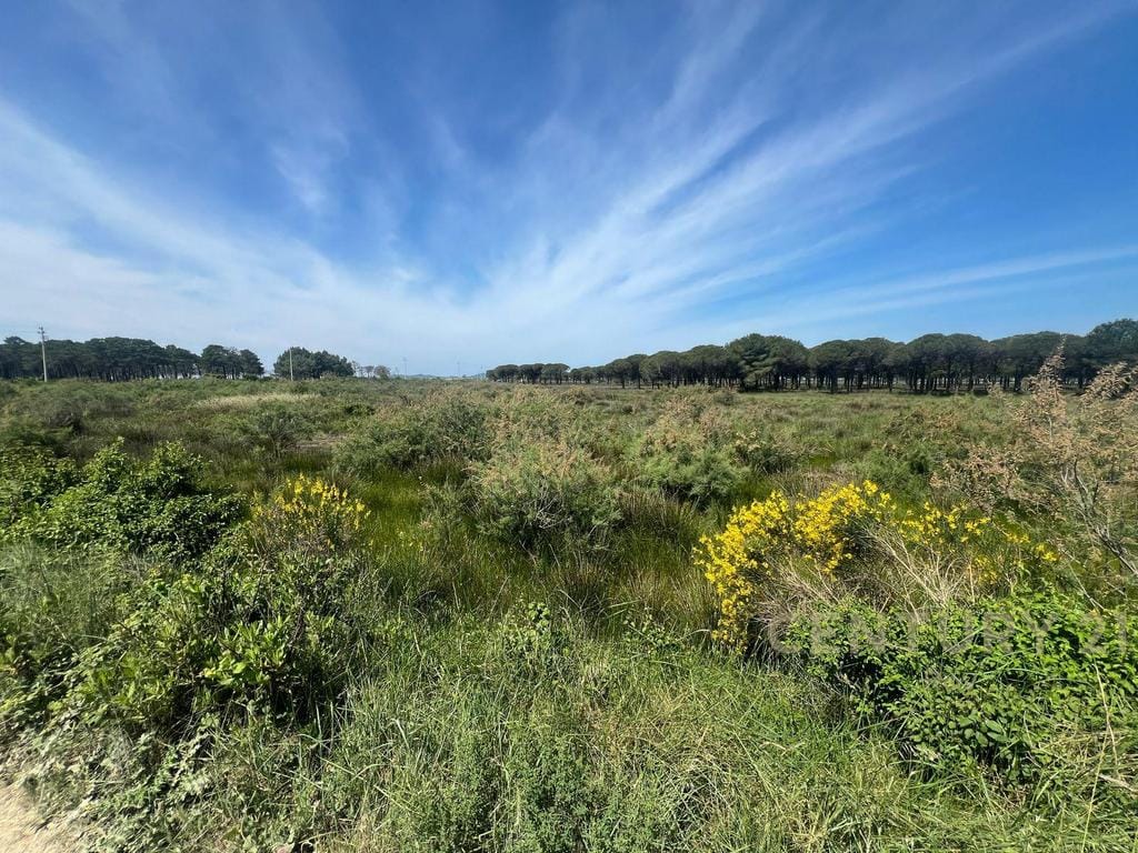 Land for Sale in Rrethi i, Durrës, Albania USD 279,498