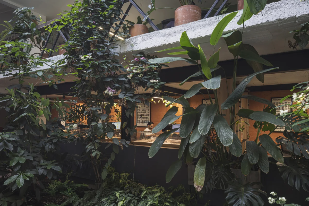 Office 101 Casa Andina / Caliza Arquitectura