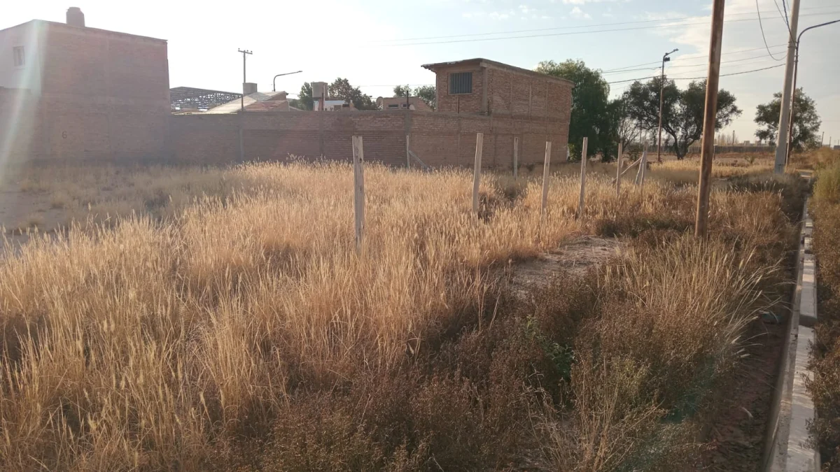 Land for Sale in C° Pan De Azucar, Maipú, Mendoza, Argentina USD 23,000